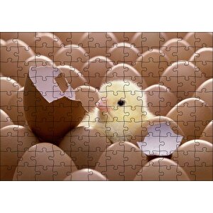 Yumurtalar Ve Kırık Yumurta İle Sarı Civciv Puzzle Yapboz Mdf Ahşap 120 Parça