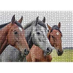 Cakapuzzle Çayırda Kahverengi Ve Gri Atlar Yakın Çekim Puzzle Yapboz Mdf Ahşap