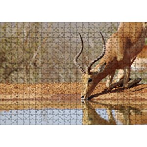 Savanada Diz Çökmüş Su İçen İmpala Puzzle Yapboz Mdf Ahşap 500 Parça