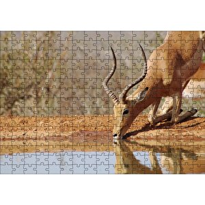 Savanada Diz Çökmüş Su İçen İmpala Puzzle Yapboz Mdf Ahşap 255 Parça