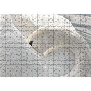 Tüylerini Temizleyen Zarif Beyaz Kuğu Puzzle Yapboz Mdf Ahşap 255 Parça