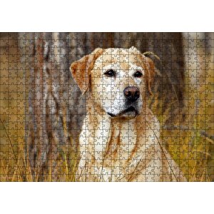 Kuru Otların Arasındaki Labrador Puzzle Yapboz Mdf Ahşap 500 Parça