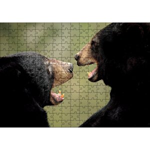 Dövüşen Kahverengi Ayılar Yakın Çekim Puzzle Yapboz Mdf Ahşap 255 Parça