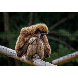 Bambu Üzerinde Dinlenen Gibbon Maymunu Puzzle Yapboz Mdf Ahşap 120 Parça
