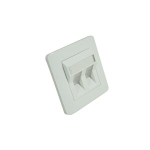 Faceplate 2 Port 86x86 Fildişi Renkli Açılı Data Prizi 2'li Priz 2 Yıl Garantili 25 Adet