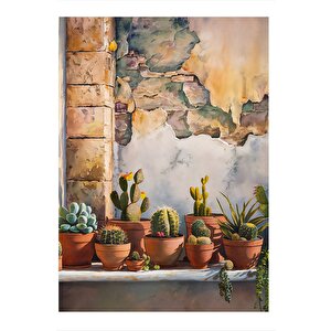Kaktüs Çeşitleri Ve Eski Duvar Art Mdf Poster 25cmx 35cm