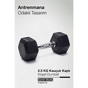 Çelik Ağırlık Metal Tutma Yerlerine Sahip Tekli Dambıl 2.5 Kg Tekli
