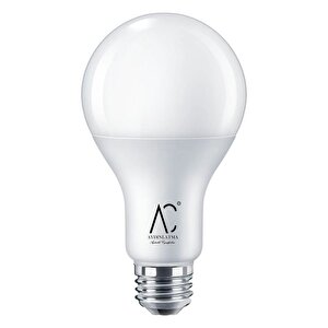 12w Bulb Led Ampul 6500k Beyaz Işık - 100 Adet