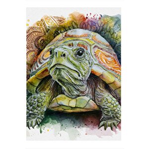 Sevimli Kaplumbağa Art Mdf Tablo 35cm X50cm 35x50 cm