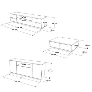 Robin Home Loft Tv Ünitesi Orta Sehpa Konsol 3'lü Set Çam-antrasit