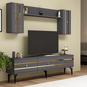 Lenora Tv Üni̇tesi̇ Takimi 180 Cm Antrasit-Altın