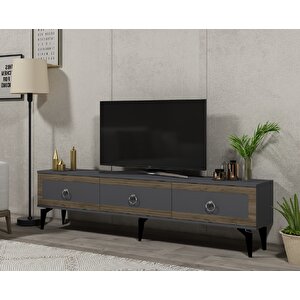 Selen Tv Sehpası (alt Modül) Antrasit-Ceviz