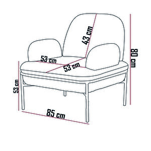 Aster Cafe, Ofis, Büro, Balkon, Otel , Lobi, Tekli Berjer Koltuk Gri