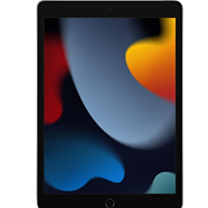 Ipad 9.nesil 256gb  10.2" Wifi Cellular Tablet- Mk4h3tu/a Gümüş