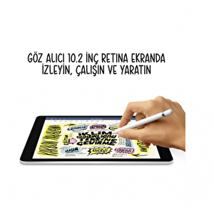 Apple Ipad 9.nesil 256gb  10.2" Wifi Cellular Tablet- Mk4h3tu/a Gümüş