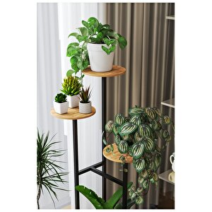 Retodesi̇gn 4 Yuvarlak Rafli Çi̇çekli̇k 1480