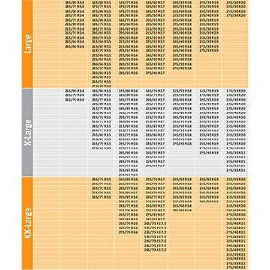 Zintaş Kar Çorabı M