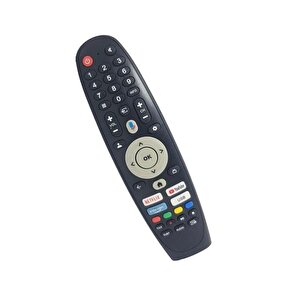 Dıjıtsu 65dg22000 4k Google Tv Kumandası-mikrofonsuz