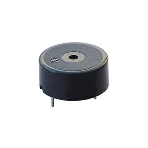 Powermaster Ic-220 Buzzer 12 - 24 Volt Dc 23 Mm Devreli