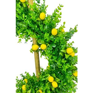 Yapay Ağaç Spiral Şimşir Ağacı İnce Yapraklı 160cm Bambu Saplı Salon Bitkisi Düz Yeşil