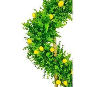 Yapay Ağaç Spiral Şimşir Ağacı İnce Yapraklı 160cm Bambu Saplı Salon Bitkisi Düz Yeşil
