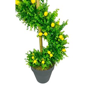 Yapay Ağaç Spiral Şimşir Ağacı İnce Yapraklı 160cm Bambu Saplı Salon Bitkisi Düz Yeşil