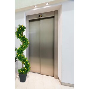 Yapay Ağaç Spiral Şimşir Ağacı İnce Yapraklı 160cm Bambu Saplı Salon Bitkisi Düz Yeşil