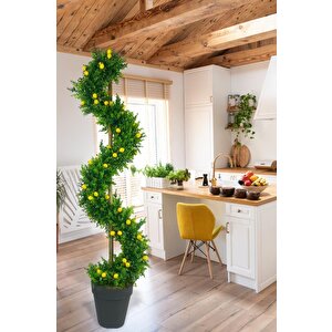 Yapay Ağaç Spiral Şimşir Ağacı İnce Yapraklı 160cm Bambu Saplı Salon Bitkisi Düz Yeşil