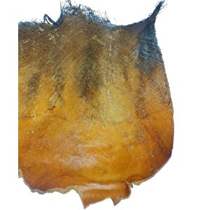 Kurutulmuş Palmiye Ağacı Kabuğu Lifi Natural Ağaç Gövdesi Kokos
