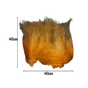 Kurutulmuş Palmiye Ağacı Kabuğu Lifi Natural Ağaç Gövdesi Kokos