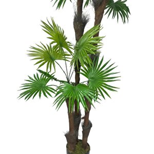 Kurutulmuş Palmiye Ağacı Kabuğu Lifi Natural Ağaç Gövdesi Kokos
