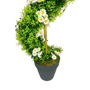 Yapay Ağaç Doğal Papatyalı Spiral Şimşir Ağacı 160cm Bambu Saplı Salon Bitkisi