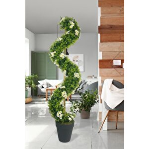 Yapay Ağaç Doğal Papatyalı Spiral Şimşir Ağacı 160cm Bambu Saplı Salon Bitkisi