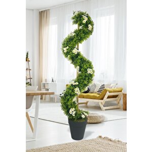 Yapay Ağaç Doğal Papatyalı Spiral Şimşir Ağacı 160cm Bambu Saplı Salon Bitkisi