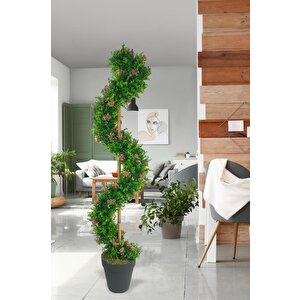 Yapay Ağaç Spiral Pembe Pıtırcıklı Şimşir Ağacı 160cm Bambu Saplı Salon Bitkisi