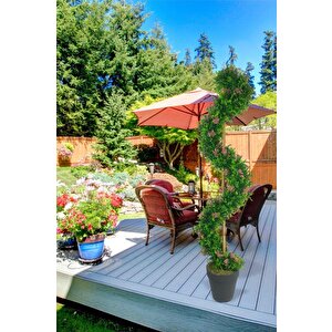 Yapay Ağaç Spiral Pembe Pıtırcıklı Şimşir Ağacı 160cm Bambu Saplı Salon Bitkisi