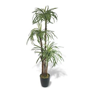 Yapay Ağaç Islak Dracaena Ağacı 3gövdeli 150*60cm Premium Kalite