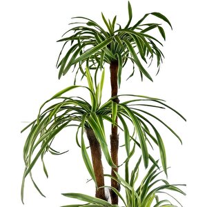 Yapay Ağaç Islak Dracaena Ağacı 3gövdeli 150*60cm Premium Kalite