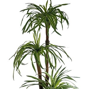Yapay Ağaç Islak Dracaena Ağacı 3gövdeli 150*60cm Premium Kalite