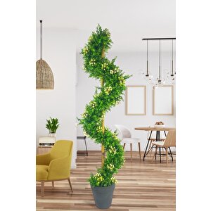 Yapay Ağaç Spiral Beyaz Kokina Şimşir Ağacı 160cm Bambu Saplı Salon Bitkisi