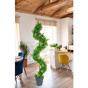 Yapay Ağaç Spiral Beyaz Kokina Şimşir Ağacı 160cm Bambu Saplı Salon Bitkisi