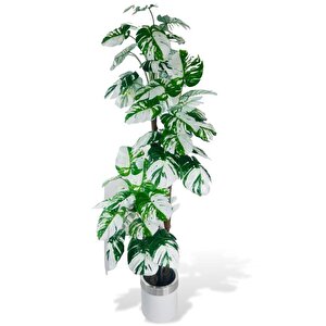 Yapay Çiçek Monstera Yeşil Beyaz Deve Tabanı 3katlı 180cm 54yaprak Gümüş Kemerli Beyaz Metal Saksı