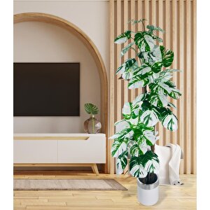Yapay Çiçek Monstera Yeşil Beyaz Deve Tabanı 3katlı 180cm 54yaprak Gümüş Kemerli Beyaz Metal Saksı