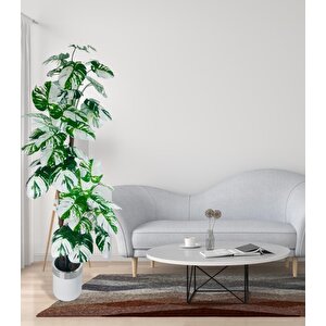 Yapay Çiçek Monstera Yeşil Beyaz Deve Tabanı 3katlı 180cm 54yaprak Gümüş Kemerli Beyaz Metal Saksı