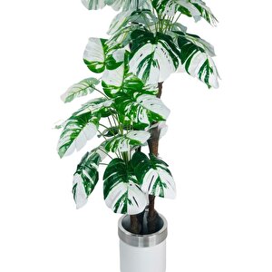 Yapay Çiçek Monstera Yeşil Beyaz Deve Tabanı 3katlı 180cm 54yaprak Gümüş Kemerli Beyaz Metal Saksı