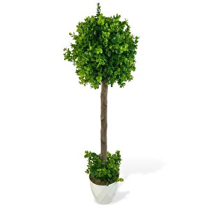 Yapay Ağaç Şimşir Top 85*30cm Beyaz Saksılı Yeşil Ağaç