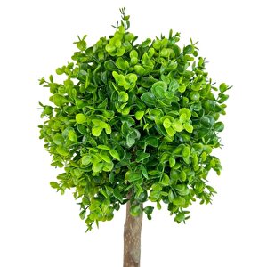 Yapay Ağaç Şimşir Top 85*30cm Beyaz Saksılı Yeşil Ağaç