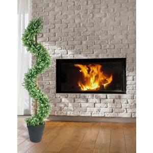 Yapay Ağaç Spiral Beyaz Yonca Şimşir Ağacı 160cm Bambu Saplı Salon Bitkisi