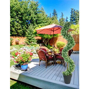 Yapay Ağaç Spiral Beyaz Yonca Şimşir Ağacı 160cm Bambu Saplı Salon Bitkisi