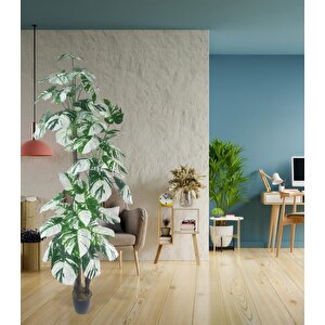 Yapay Çiçek Monstera Yeşil Beyaz Deve Tabanı 3katlı 180cm 54yaprak Siyah Plastik Saksıda Yapay Bitki